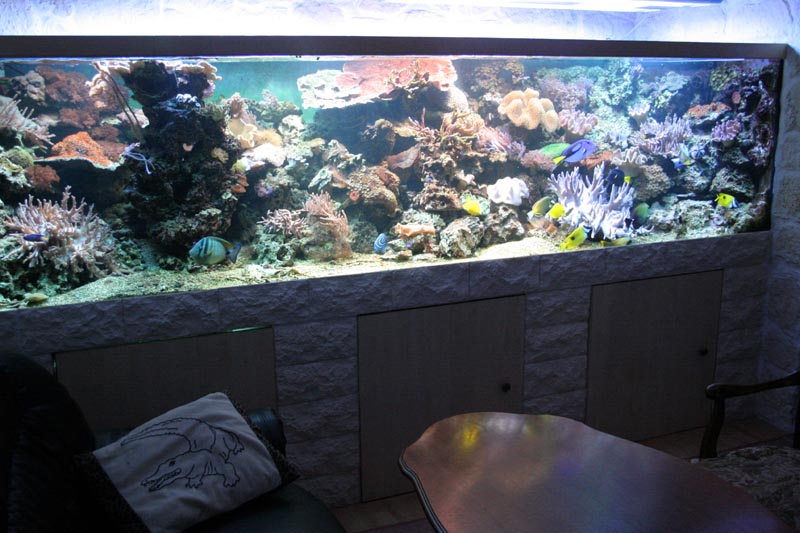 Killikus® Fotographie Killikus® Fotographie